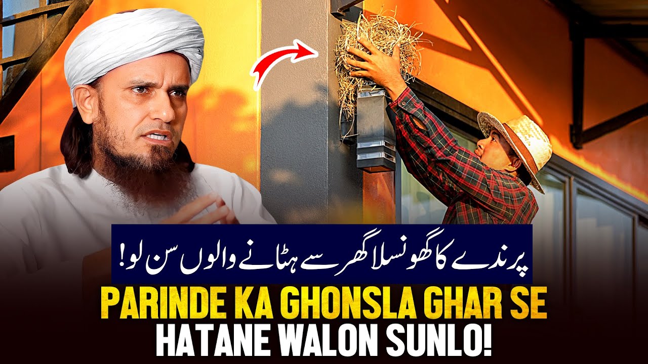 Parindey Ka Ghosla Ghar Se Hatane Walo Sunlo!